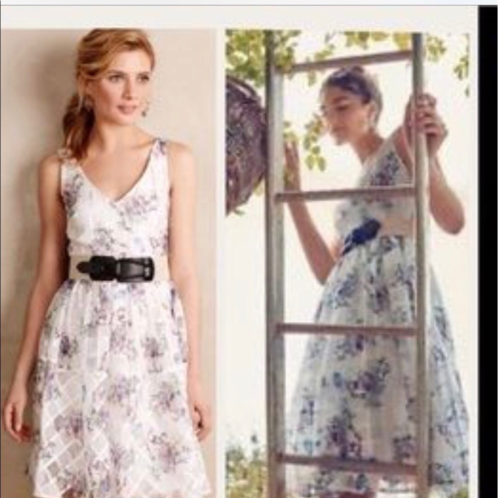 Anthropologie Garden Peony Dress